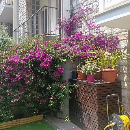 Apartman Il Don Minzoni 98 